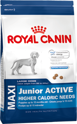 Royal Canin Maxi Junior Active 15kg
