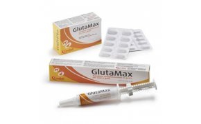 GlutaMax pasta 15ml