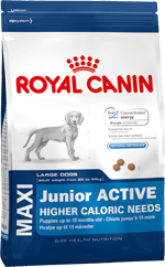 Royal Canin Maxi Junior Active 15kg