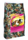 Avicentra Special Morče 500g
