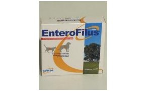 Enterofilus 12x10ml  