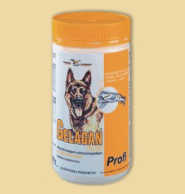 Gelacan Plus Profi 1000g