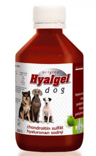 Hyalgel Dog Original jablko 500ml 