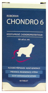 Roboran Chondro 6 pro psy 60tbl 
