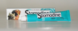 Stomodine gel 30g