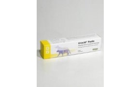 Urocid pasta 100g
