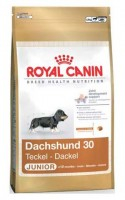 Royal Canin Mini Jezevčík Junior 1,5kg