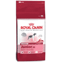 Royal Canin Medium Junior 4kg